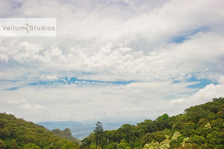 O Reilly S Rainforest Wedding Angela David Vellum Studios