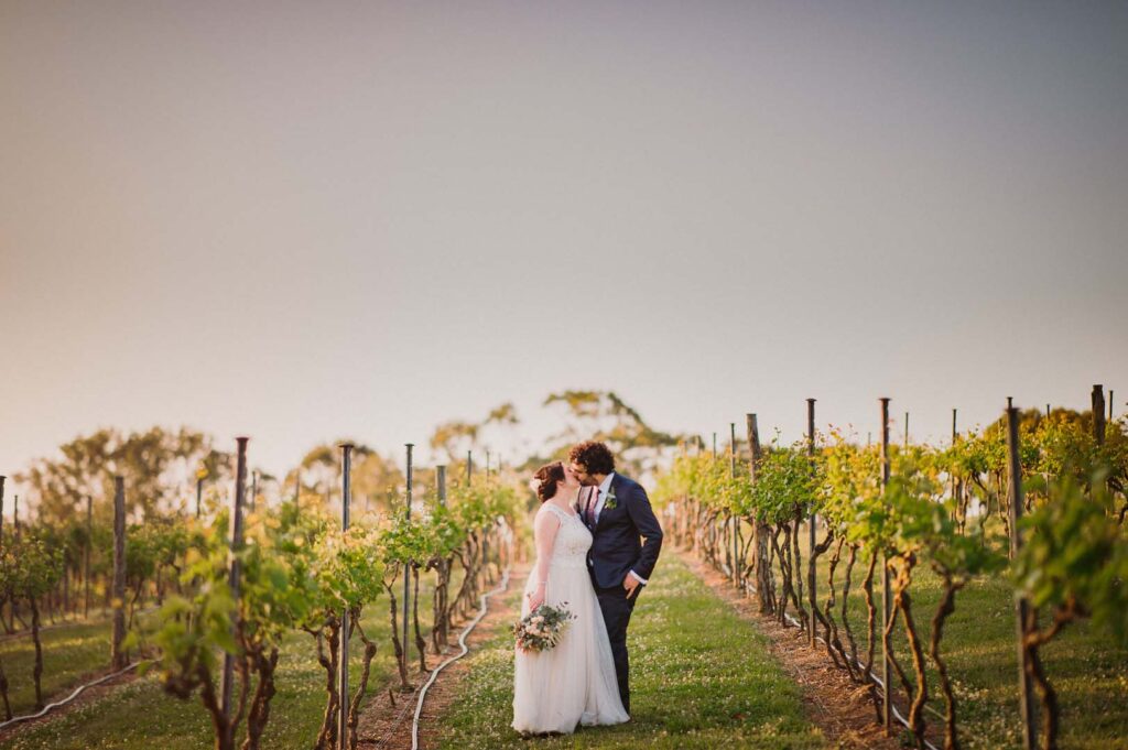 Sirromet Wedding - Vines
