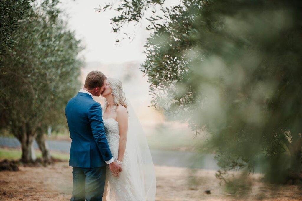 Preston Peak olive grove bride and groom