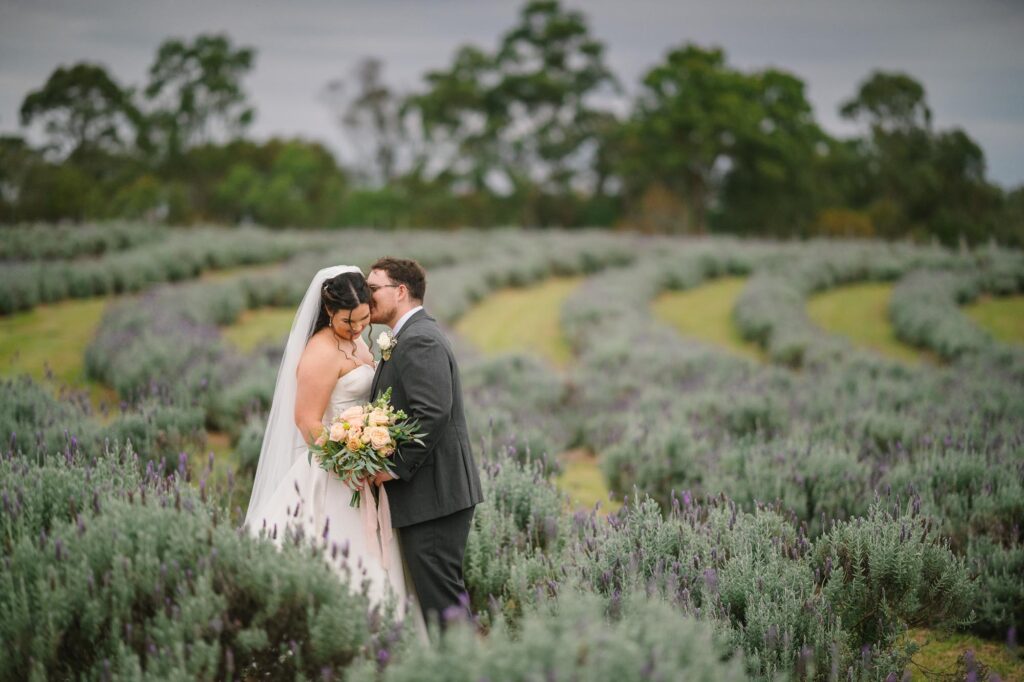 Sirromet wedding photography - lavender