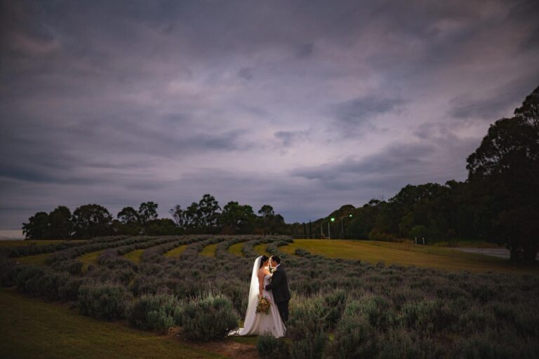 Sirromet wedding photography - lavender field