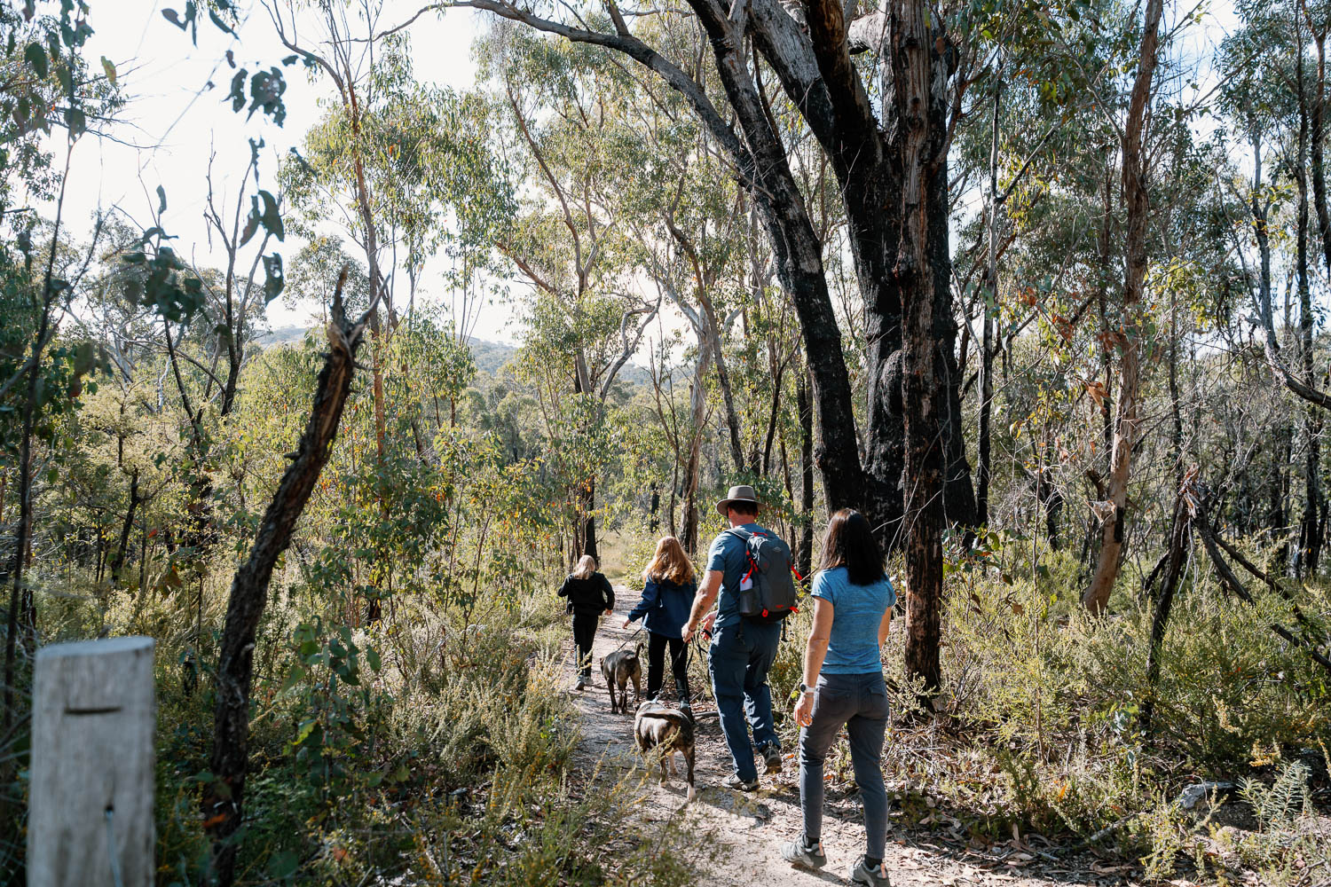 Girraween Family Photography