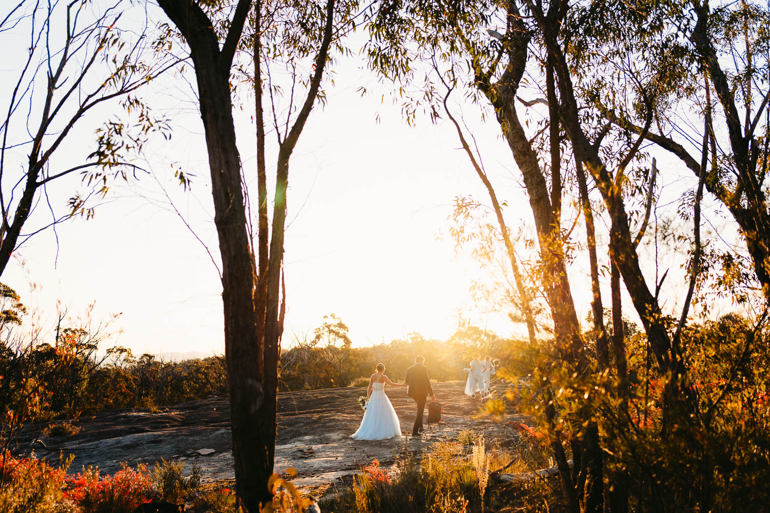 Girraween elopement photography