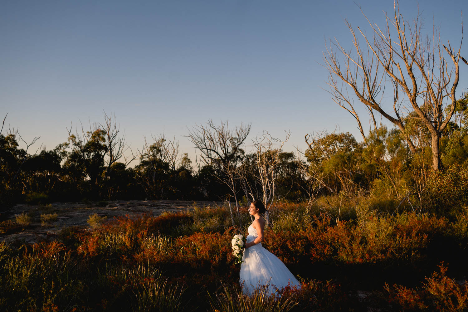 Girraween elopement photography