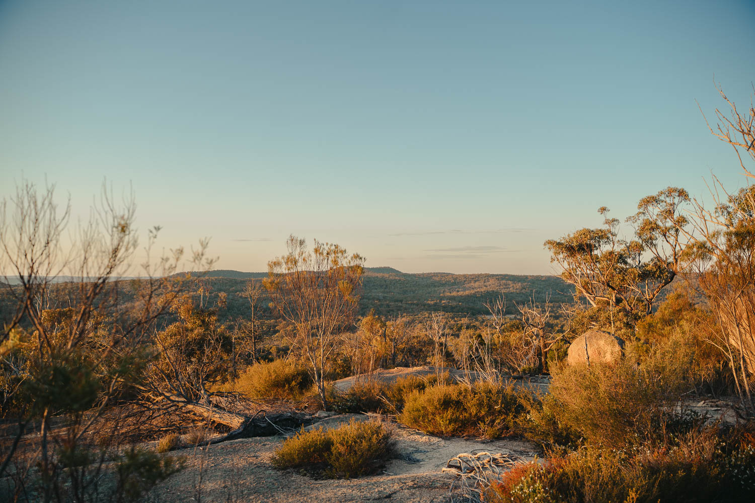 Girraween elopement photography