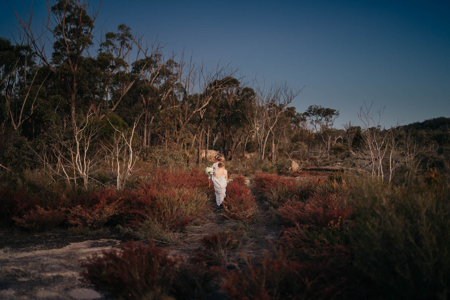 Girraween elopement photography