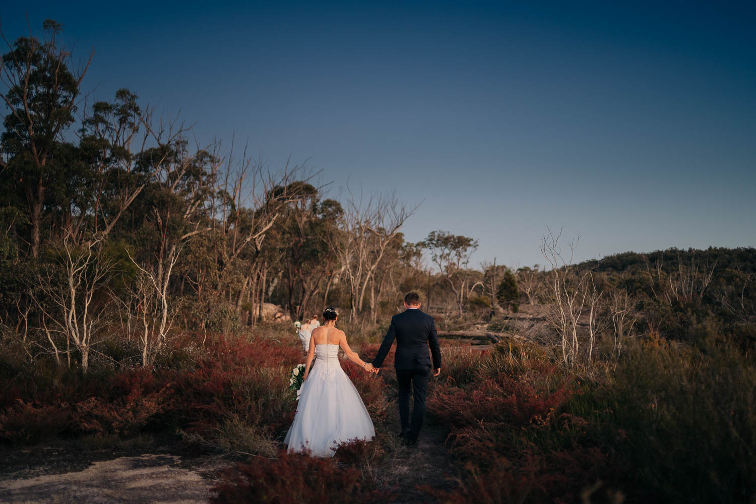 Girraween elopement photography