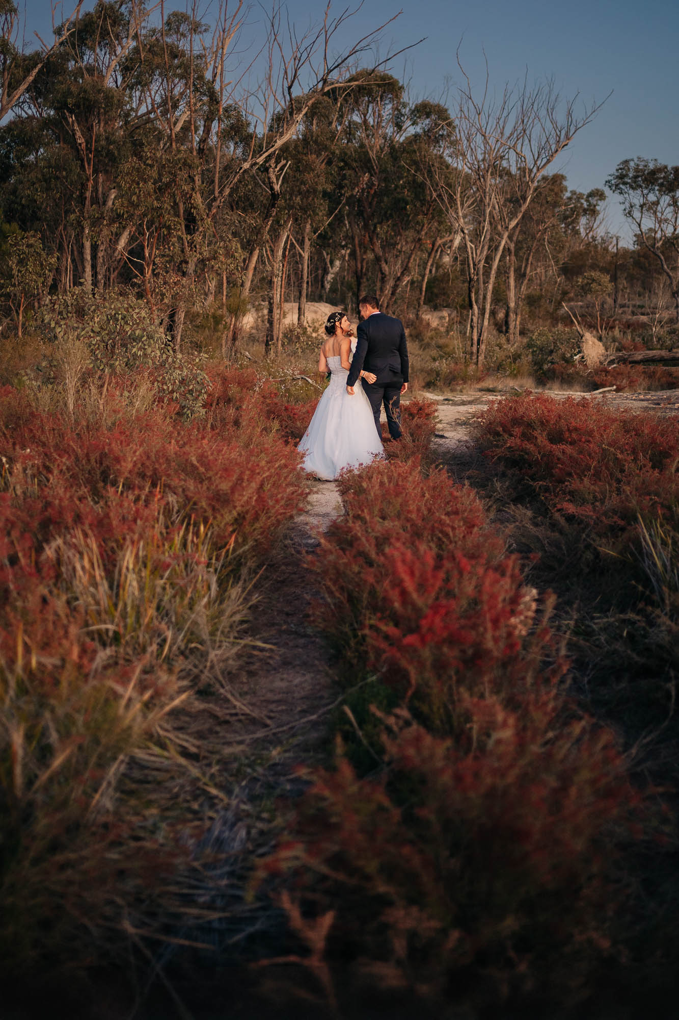 Girraween elopement photography