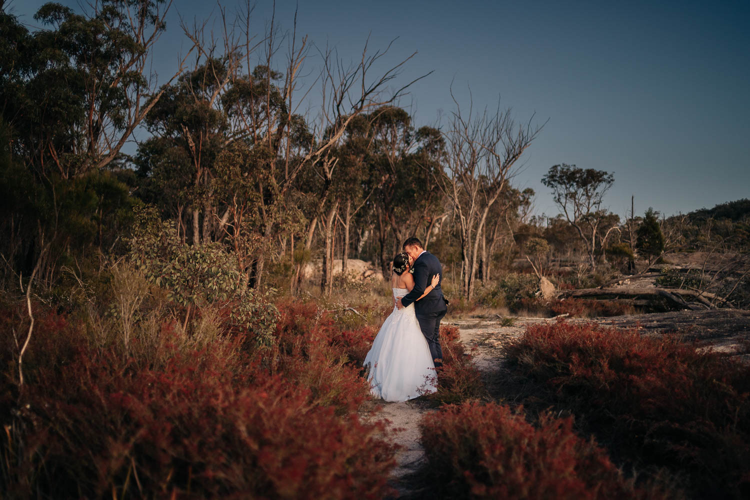 Girraween elopement photography