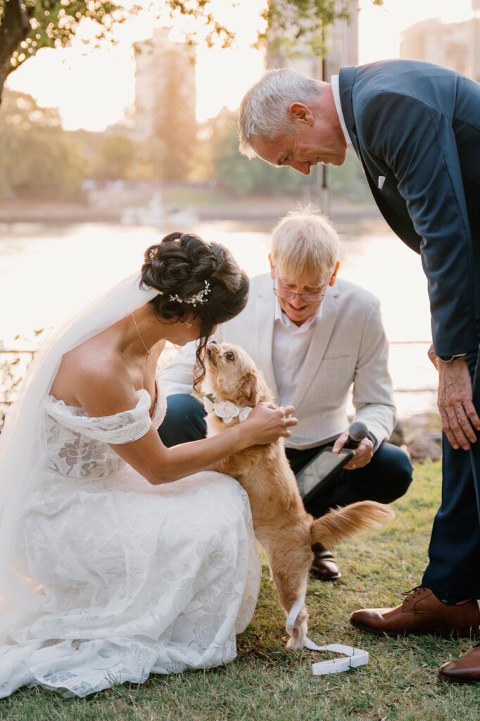 Riverlife wedding photographer - puppy